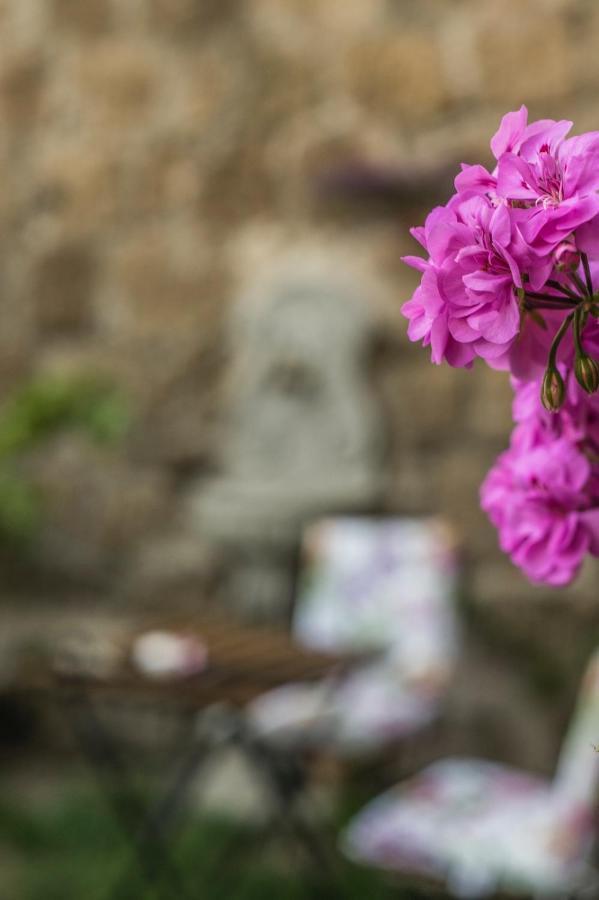 B&B Etruscan Garden ストリ エクステリア 写真