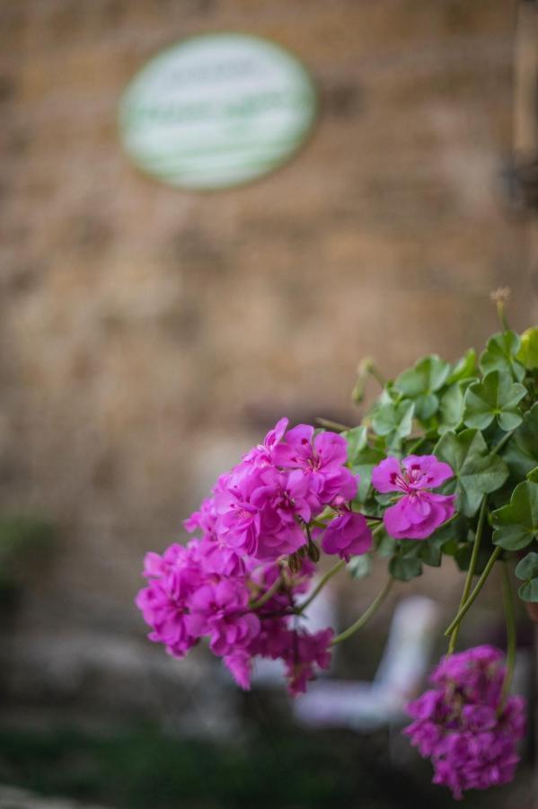 B&B Etruscan Garden ストリ エクステリア 写真