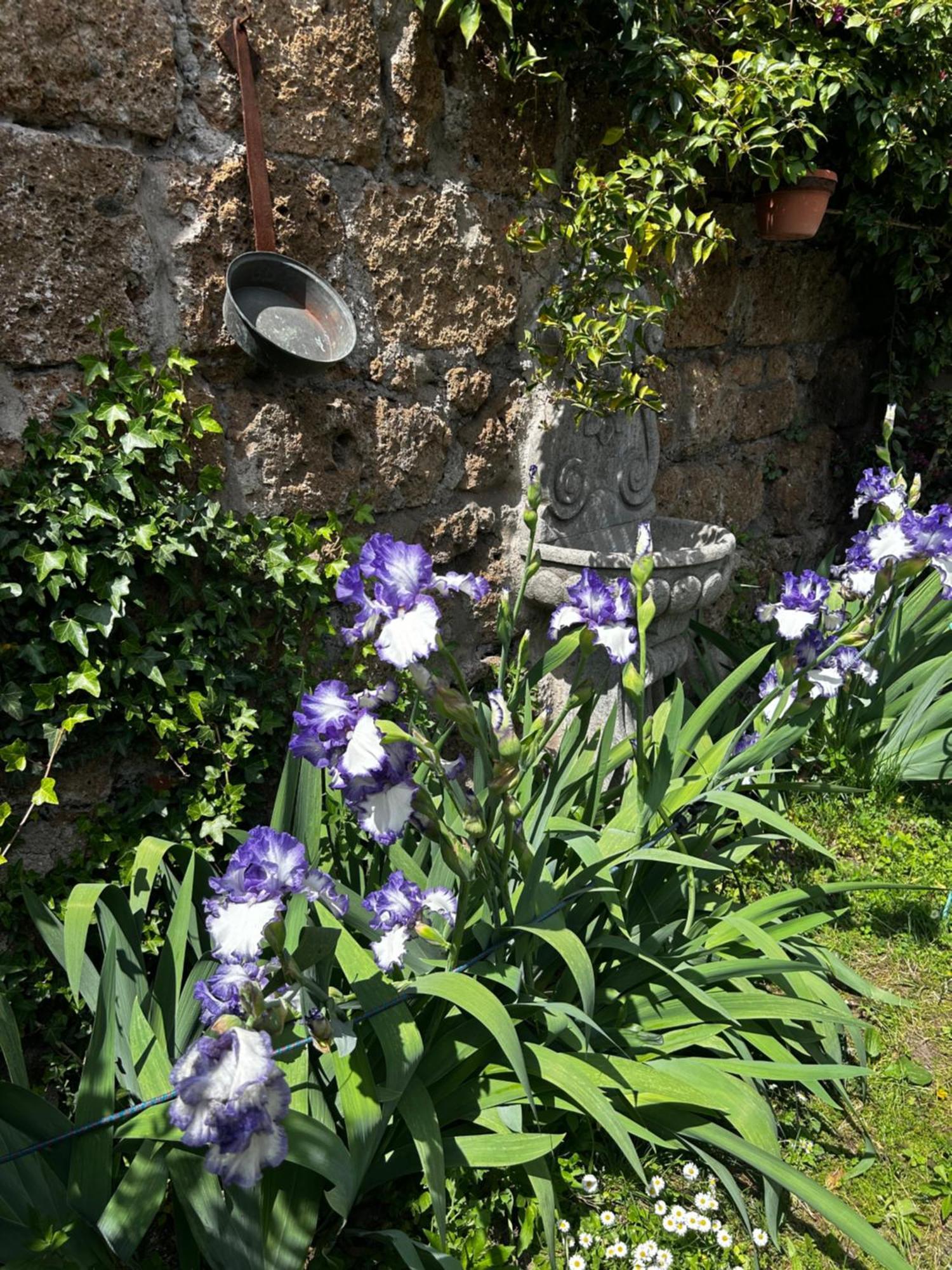 B&B Etruscan Garden ストリ エクステリア 写真